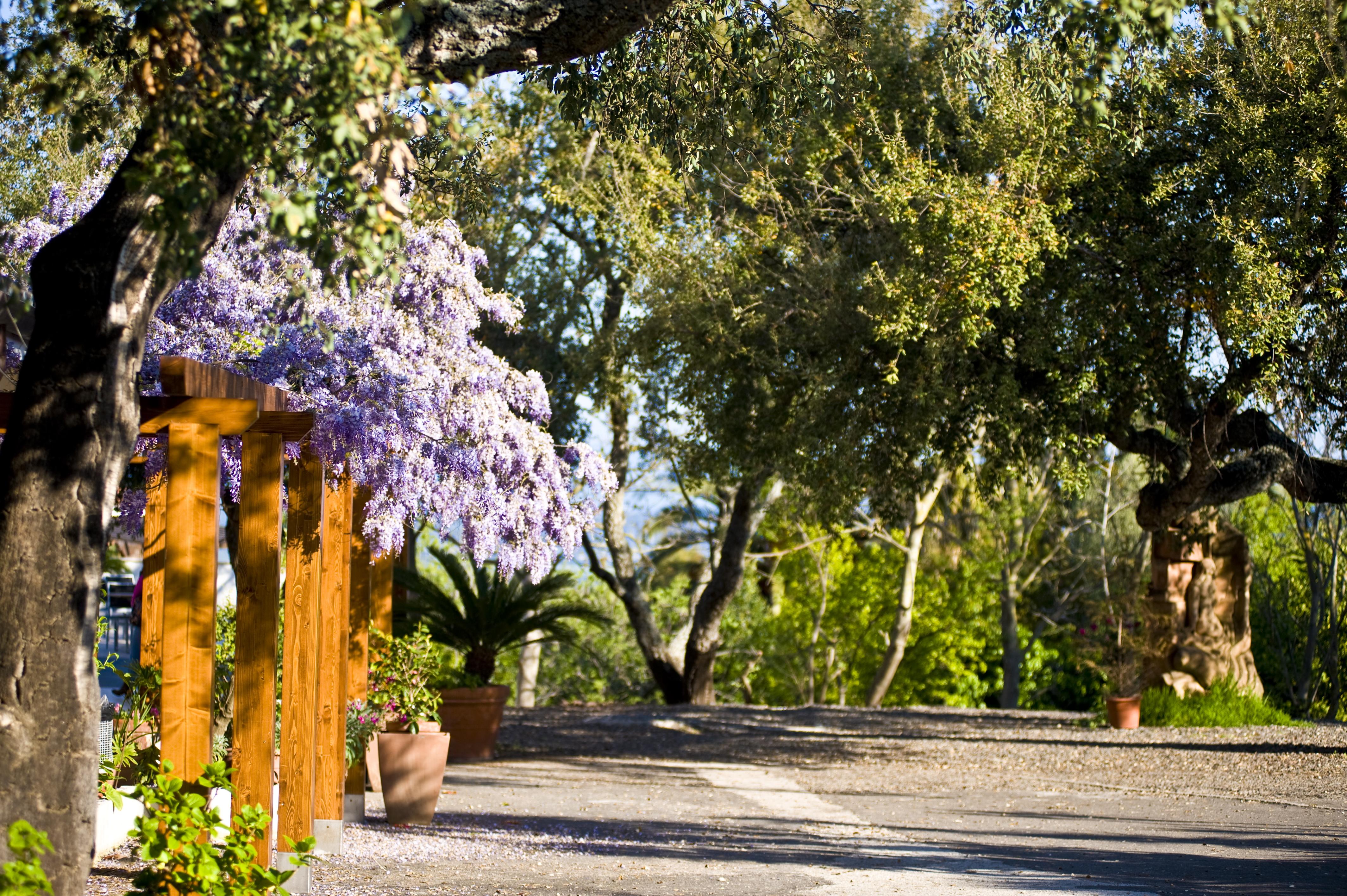 Il Querceto Hotel Dorgali